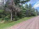 Lot 1 Adair Road, Penobsquis, NB 