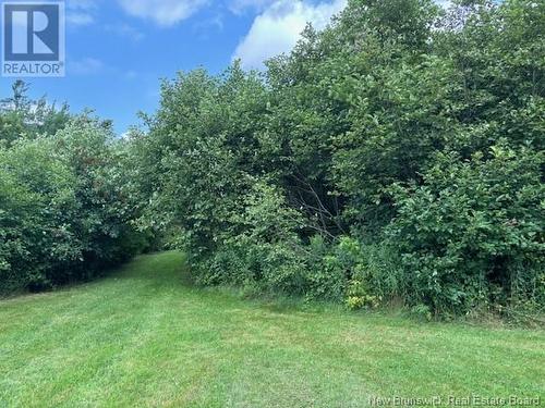 Lot 1 Adair Road, Penobsquis, NB 