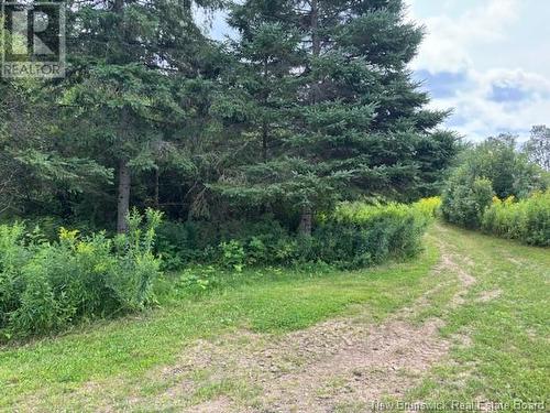 Lot 1 Adair Road, Penobsquis, NB 