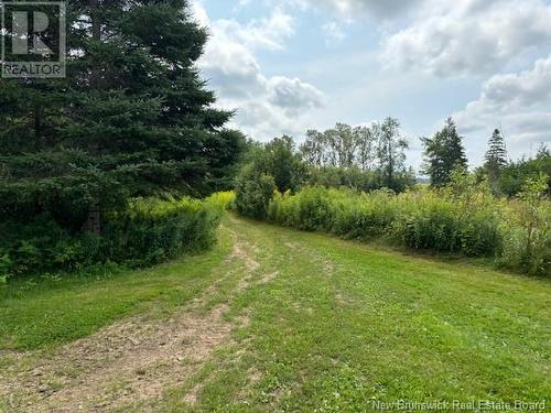 Lot 1 Adair Road, Penobsquis, NB 