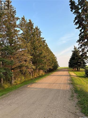 Hinz Acreage, Rosthern Rm No. 403, SK - Outdoor With View