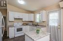 433 N Patterson Street, Prince George, BC  - Indoor Photo Showing Kitchen With Double Sink 