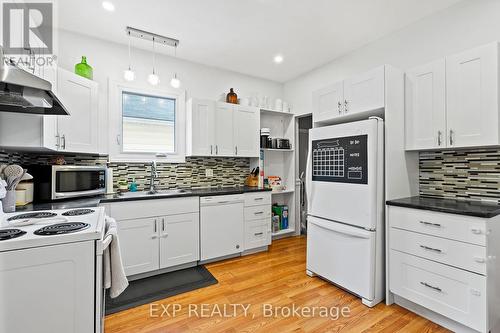 6047 Ross Street, Niagara Falls, ON - Indoor Photo Showing Kitchen With Double Sink