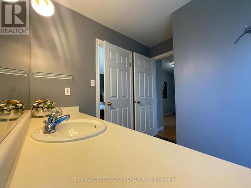 2736 Hutchinson Court, London, ON - Indoor Photo Showing Bathroom