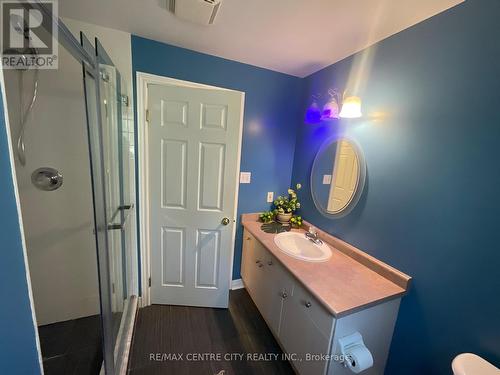 2736 Hutchinson Court, London, ON - Indoor Photo Showing Bathroom