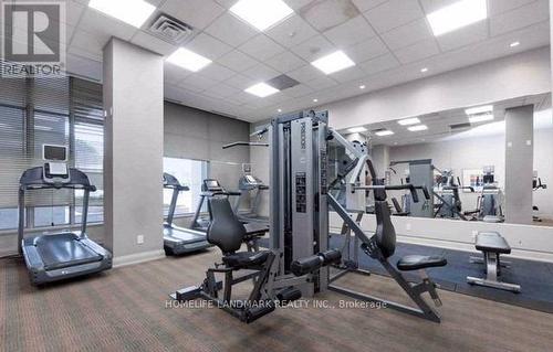 310 - 5793 Yonge Street, Toronto (Newtonbrook East), ON - Indoor Photo Showing Gym Room