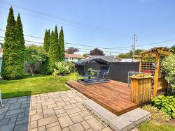 Backyard - 