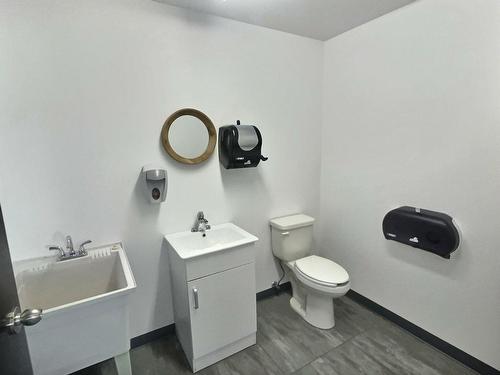 Powder room - 200 Rue D'Évain, Rouyn-Noranda, QC - Indoor Photo Showing Bathroom