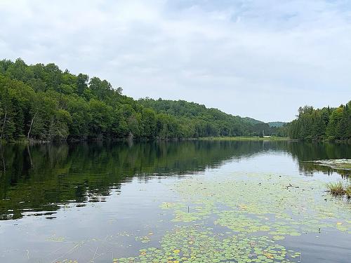 Water view - 43 Ch. Du Lac-Victor, Lac-Des-Plages, QC - Outdoor With Body Of Water With View