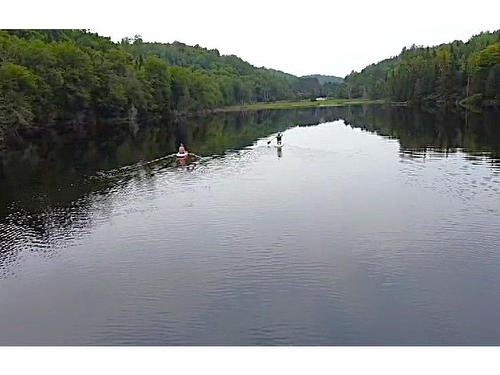 Water view - 43 Ch. Du Lac-Victor, Lac-Des-Plages, QC - Outdoor With Body Of Water With View