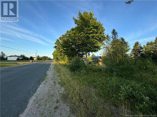 Lot Young Ridge Road, Rogersville, NB 