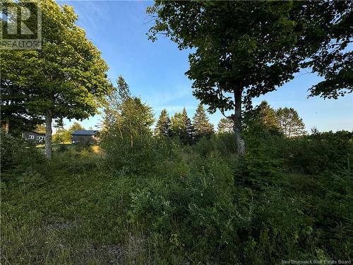 Lot Young Ridge Road, Rogersville, NB 