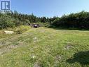 20 Beaver Pond Road, New Perlican, NL  - Outdoor With View 