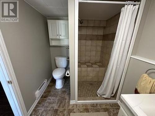 20 Beaver Pond Road, New Perlican, NL - Indoor Photo Showing Bathroom