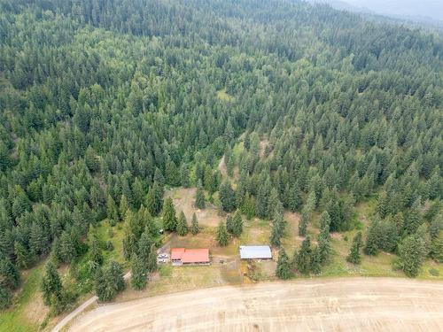 1053 Ptarmigan Road, Chase, BC - Outdoor With View