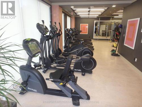 506 - 18 Graydon Hall Drive, Toronto (Parkwoods-Donalda), ON - Indoor Photo Showing Gym Room