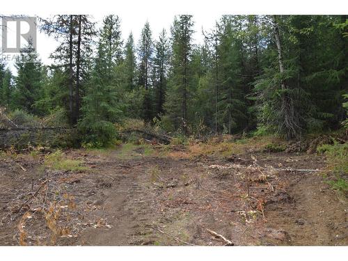 Lot 2 3 Highway, Grand Forks, BC 