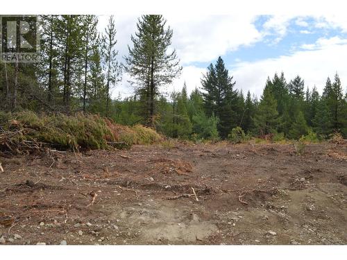 Lot 2 3 Highway, Grand Forks, BC 