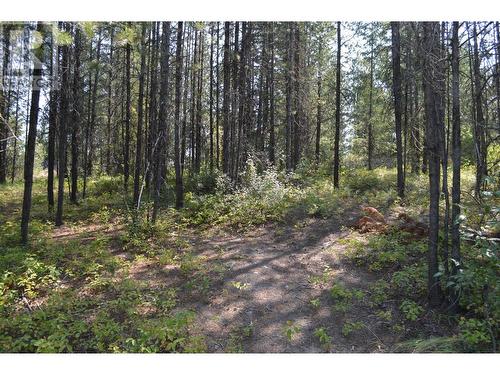 Lot 2 3 Highway, Grand Forks, BC 