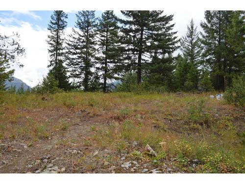 Lot 1 Highway 3, Grand Forks, BC 