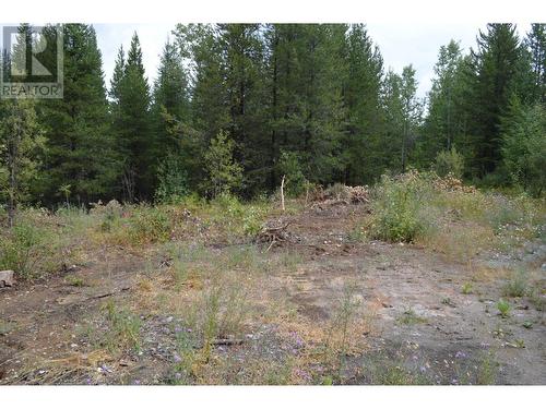 Lot 1 3 Highway, Grand Forks, BC 