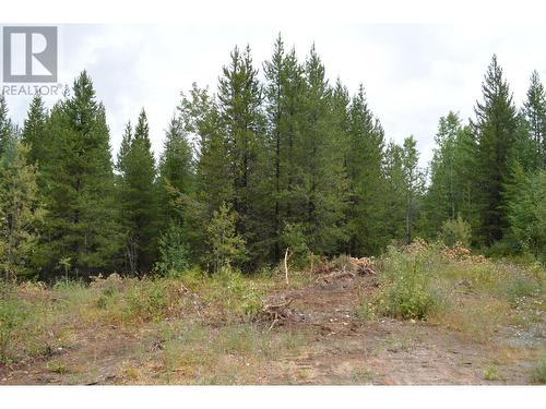 Lot 1 3 Highway, Grand Forks, BC 