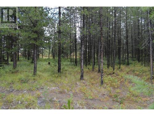 Lot 1 3 Highway, Grand Forks, BC 