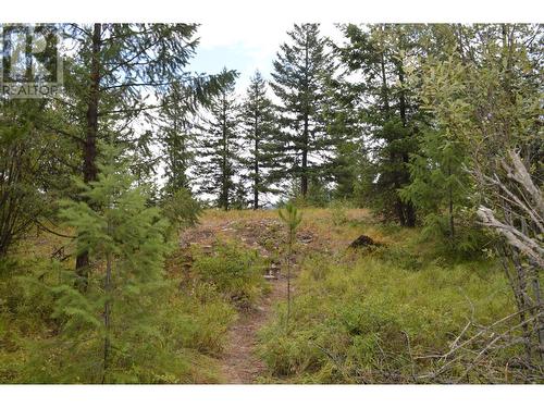 Lot 1 3 Highway, Grand Forks, BC 