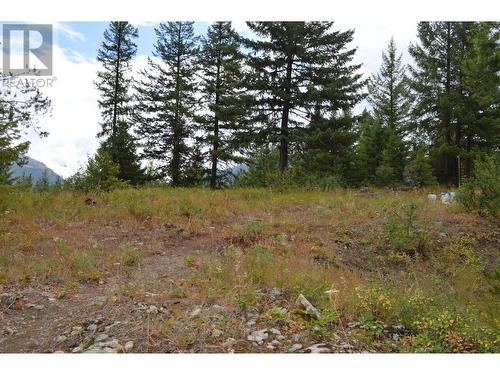 Lot 1 3 Highway, Grand Forks, BC 