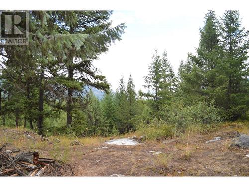 Lot 1 3 Highway, Grand Forks, BC 