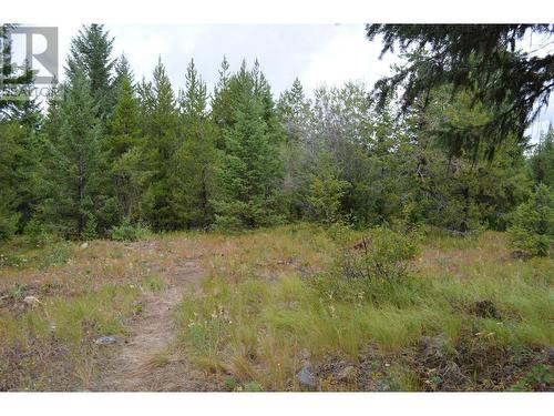 Lot 1 3 Highway, Grand Forks, BC 