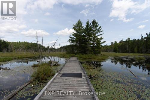 31 Spruce Drive, Temagami, ON - Outdoor With Body Of Water With View