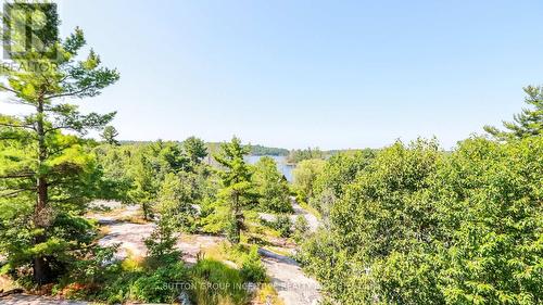 65 Big Sound Road, Mcdougall, ON - Outdoor With View