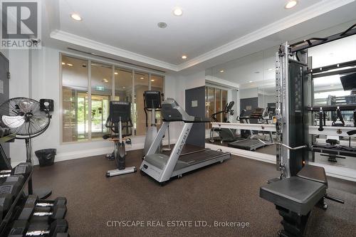 306 - 38 William Carson Crescent, Toronto (St. Andrew-Windfields), ON - Indoor Photo Showing Gym Room