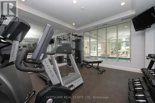 306 - 38 William Carson Crescent, Toronto (St. Andrew-Windfields), ON - Indoor Photo Showing Gym Room