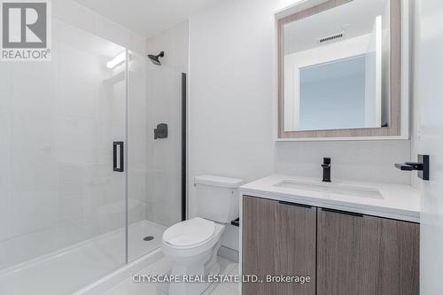 2009 - 36 Zorra Street, Toronto (Islington-City Centre West), ON - Indoor Photo Showing Bathroom