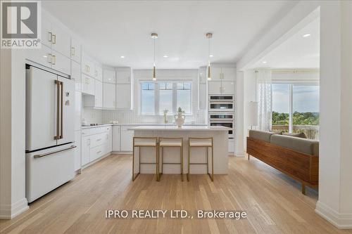 123 Yates Drive, Milton, ON - Indoor Photo Showing Kitchen With Upgraded Kitchen