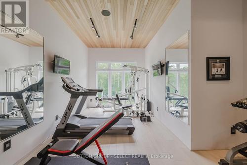 9385 Elviage Drive, London, ON - Indoor Photo Showing Gym Room