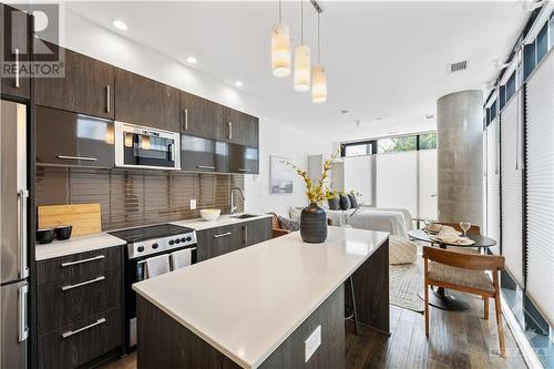 255 Bay Street Unit#102, Ottawa, ON - Indoor Photo Showing Kitchen With Upgraded Kitchen