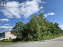 195 Nelson Street, Gravenhurst, ON 