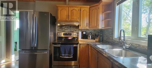 34 Greenhill Crescent, Burin, NL - Indoor Photo Showing Kitchen With Double Sink