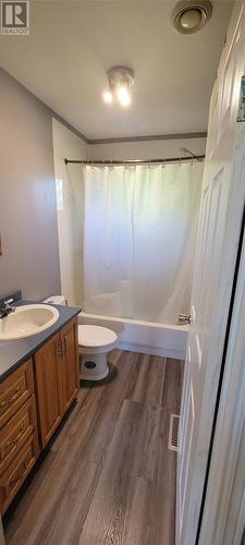 34 Greenhill Crescent, Burin, NL - Indoor Photo Showing Bathroom