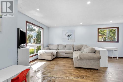 31 Cleveland Place, London, ON - Indoor Photo Showing Living Room