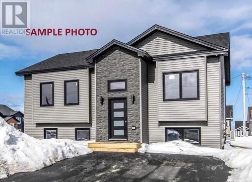 43 Sir Wilfred Grenfell Street, St. John'S, NL - Outdoor With Facade