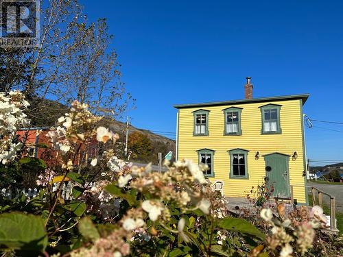 4 Dandy Lane, Trinity, NL - Outdoor