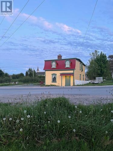 4 Dandy Lane, Trinity, NL - Outdoor