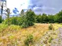 Lot 23 Terra Nova Golf Estates, Port Blandford, NL 