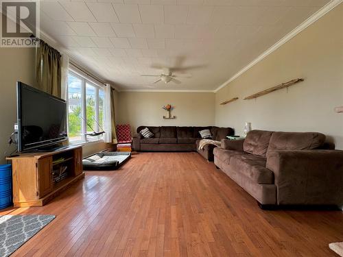 3 Goose Cove Road, North Harbour, NL - Indoor Photo Showing Living Room