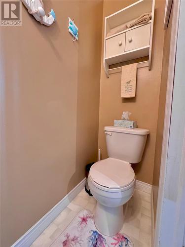 3 Goose Cove Road, North Harbour, NL - Indoor Photo Showing Bathroom