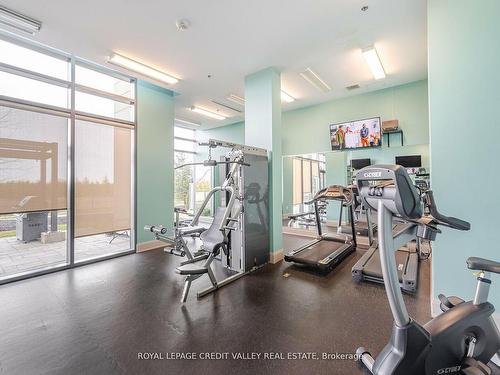 408-55 Yorkland Blvd, Brampton, ON - Indoor Photo Showing Gym Room